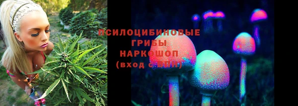 мдпв Мегион
