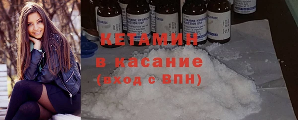 мдпв Ельня