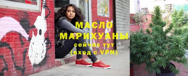 гашик Елабуга