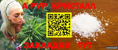 2c-b Гай